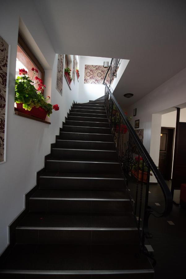 Pension Arena Cluj-Napoca Exterior foto